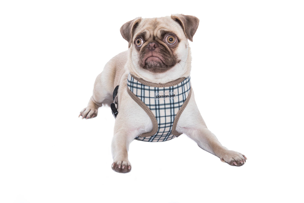 Freedom Harness, Khaki Plaid