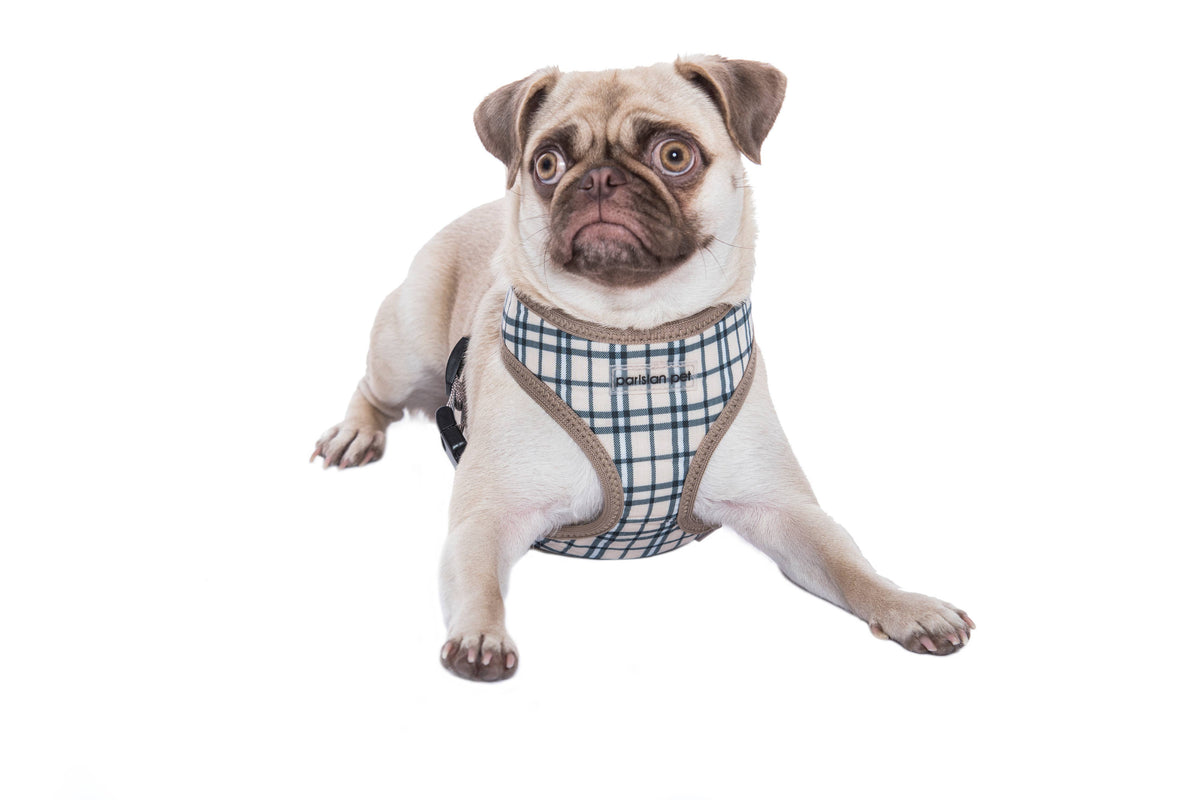 Freedom Harness, Khaki Plaid