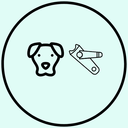 Canine Nail Trim - Starting Price $10.00