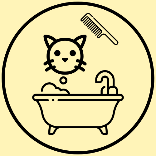 Feline Bath & Brushout - Starting Price: $65.00