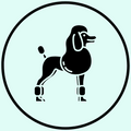 Poodle Feet Grooming Add-On - $10.00