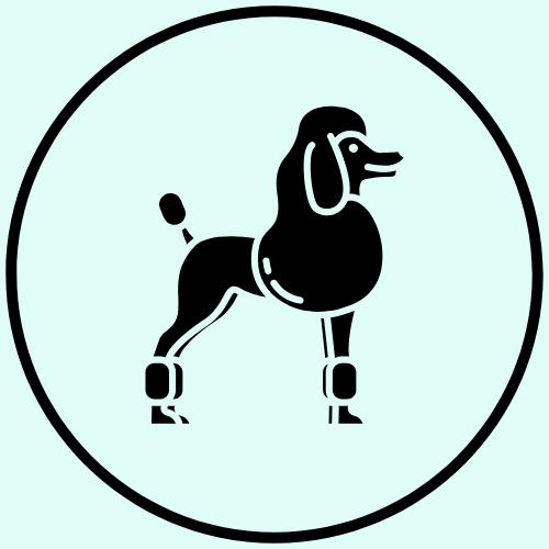 Poodle Feet Grooming Add-On - $10.00