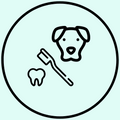 Teeth Brushing Grooming Add-On - $5.00
