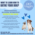 Bathing Workshop - Trained by Michelle Granger