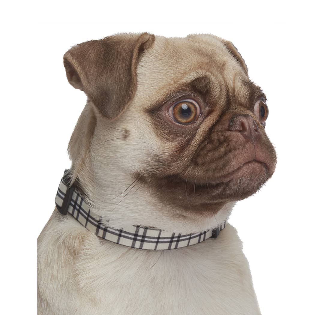 Scottish Plaid Collar, Khaki