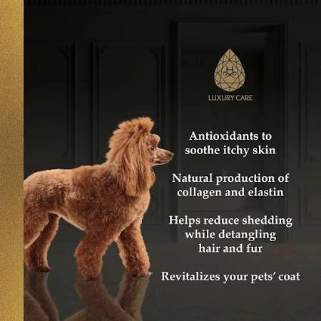 Hydra Luxury Care Shampoo or Conditioner