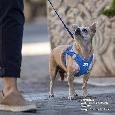 Curli Leash